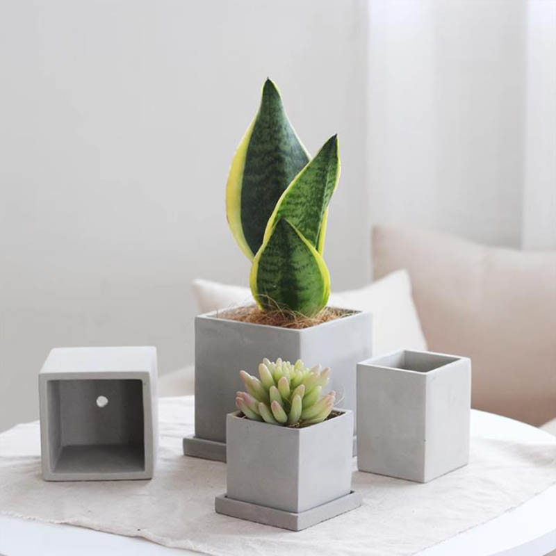 Large Square Flowerpot Silicon - Potsticker Mold ulasan dan harga